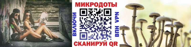 купить наркотик  Вязьма  Галлюциногенные грибы Cubensis 
