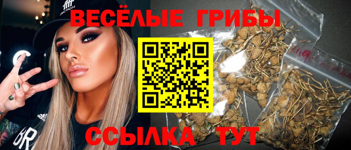 ГАШ Вязьма
