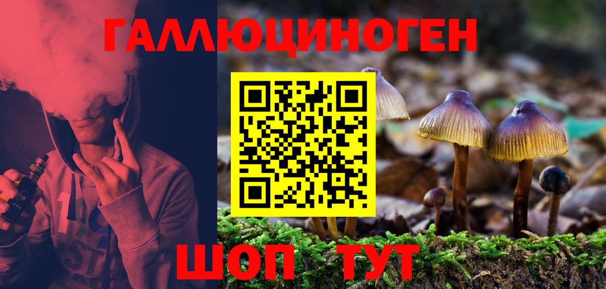 Вязьма  Псилоцибиновые грибы MAGIC MUSHROOMS  Вход с VPN  Псилоцибиновые грибы мицелий 